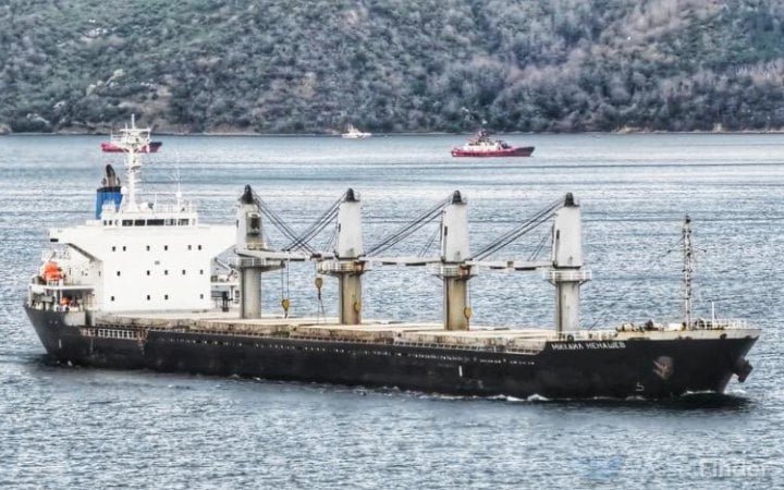 Der russische Massengutfrachter „Mikhail Nenashev“, der Getreide aus den besetzten Gebieten der Ukraine transportierte